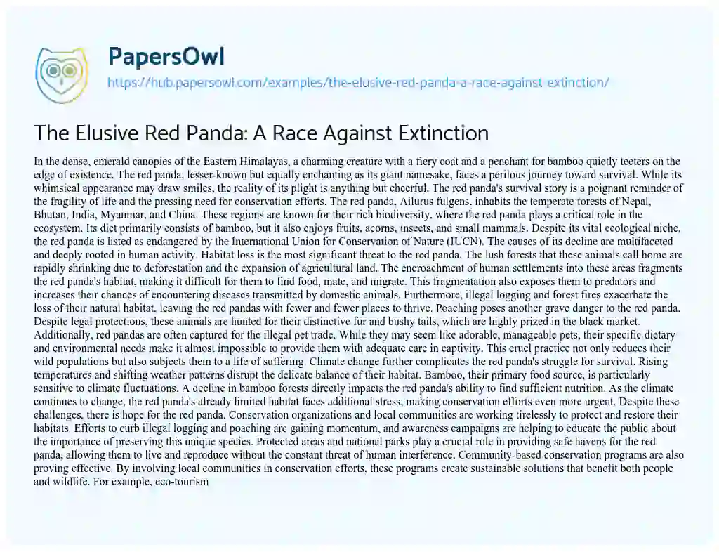 Essay on The Elusive Red Panda: A Race Against Extinction