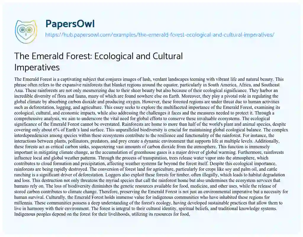 Essay on The Emerald Forest: Ecological and Cultural Imperatives