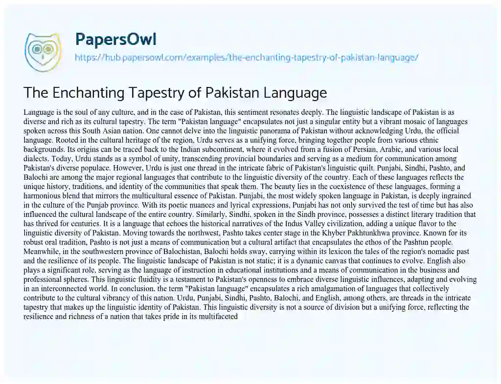 Essay on The Enchanting Tapestry of Pakistan Language