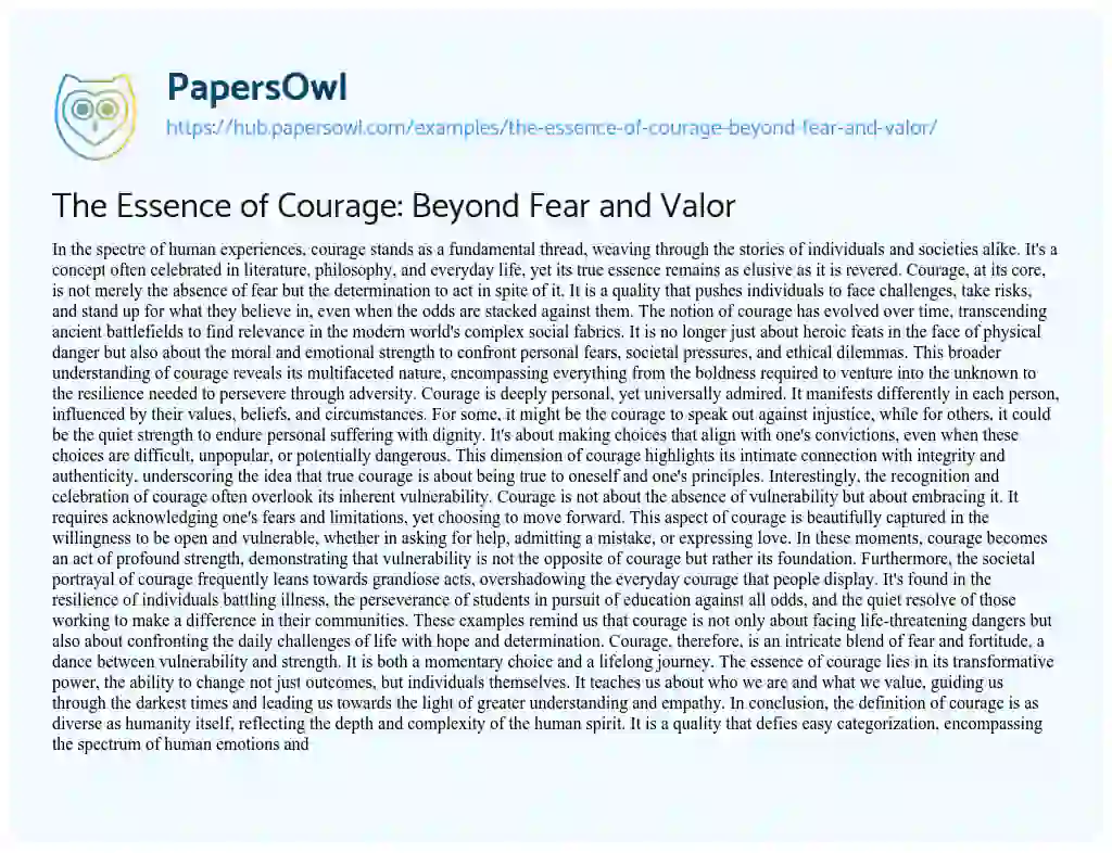 Essay on The Essence of Courage: Beyond Fear and Valor