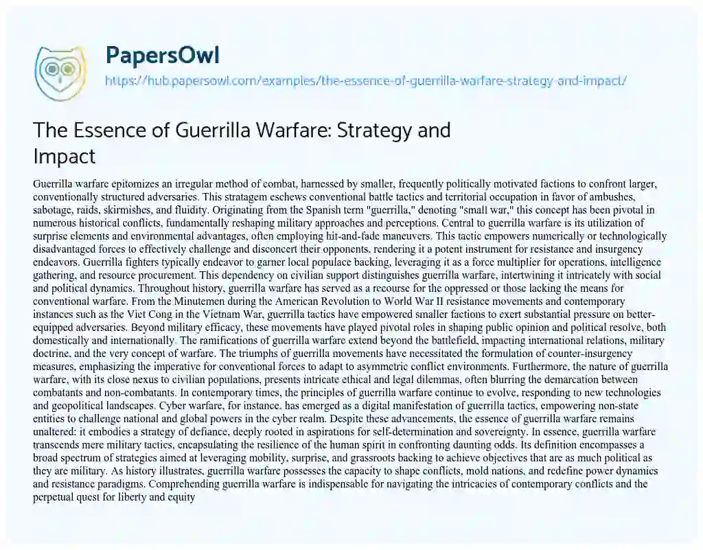 Essay on The Essence of Guerrilla Warfare: Strategy and Impact