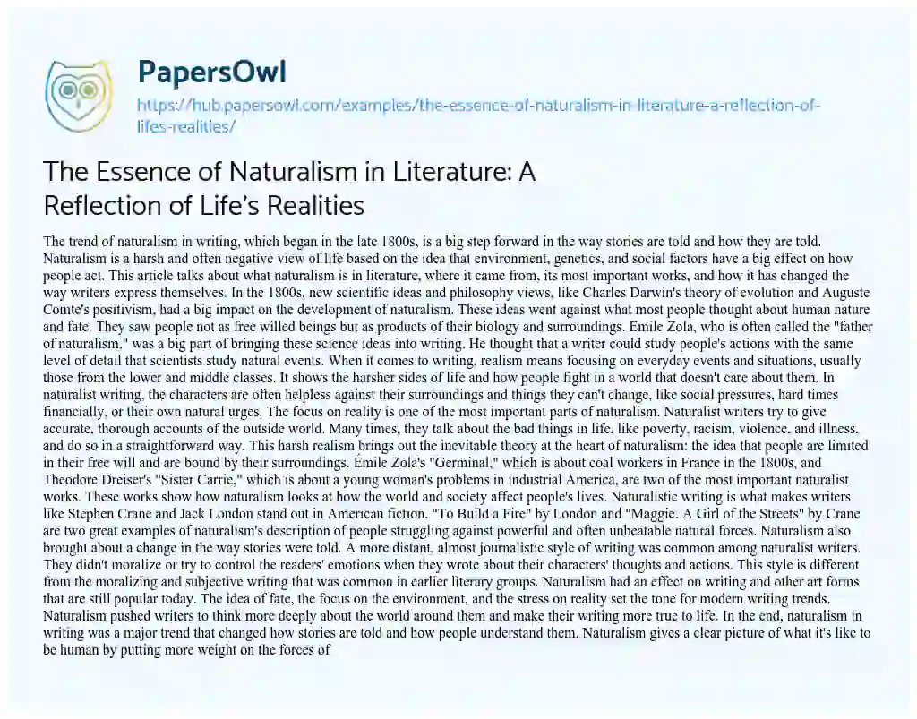 Essay on The Essence of Naturalism in Literature: A Reflection of Life’s Realities