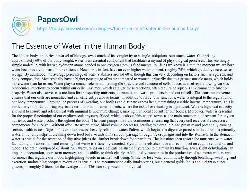 Essay on The Essence of Water in the Human Body