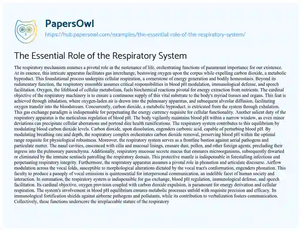 Essay on The Essential Role of the Respiratory System