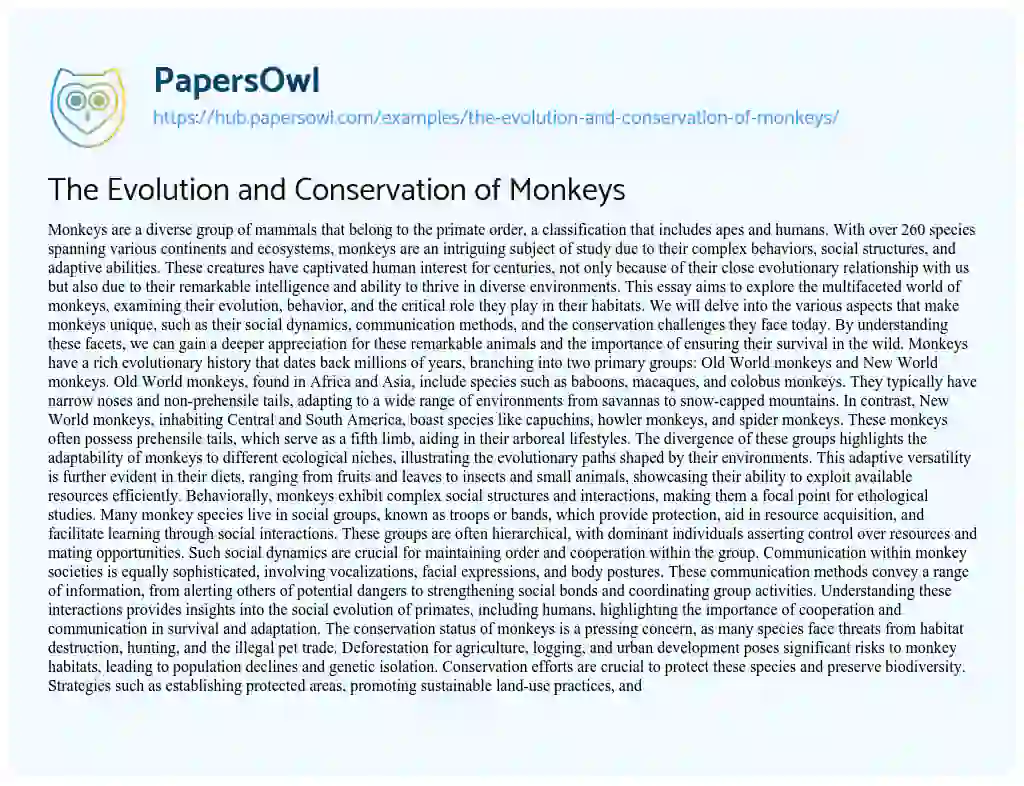Essay on The Evolution and Conservation of Monkeys