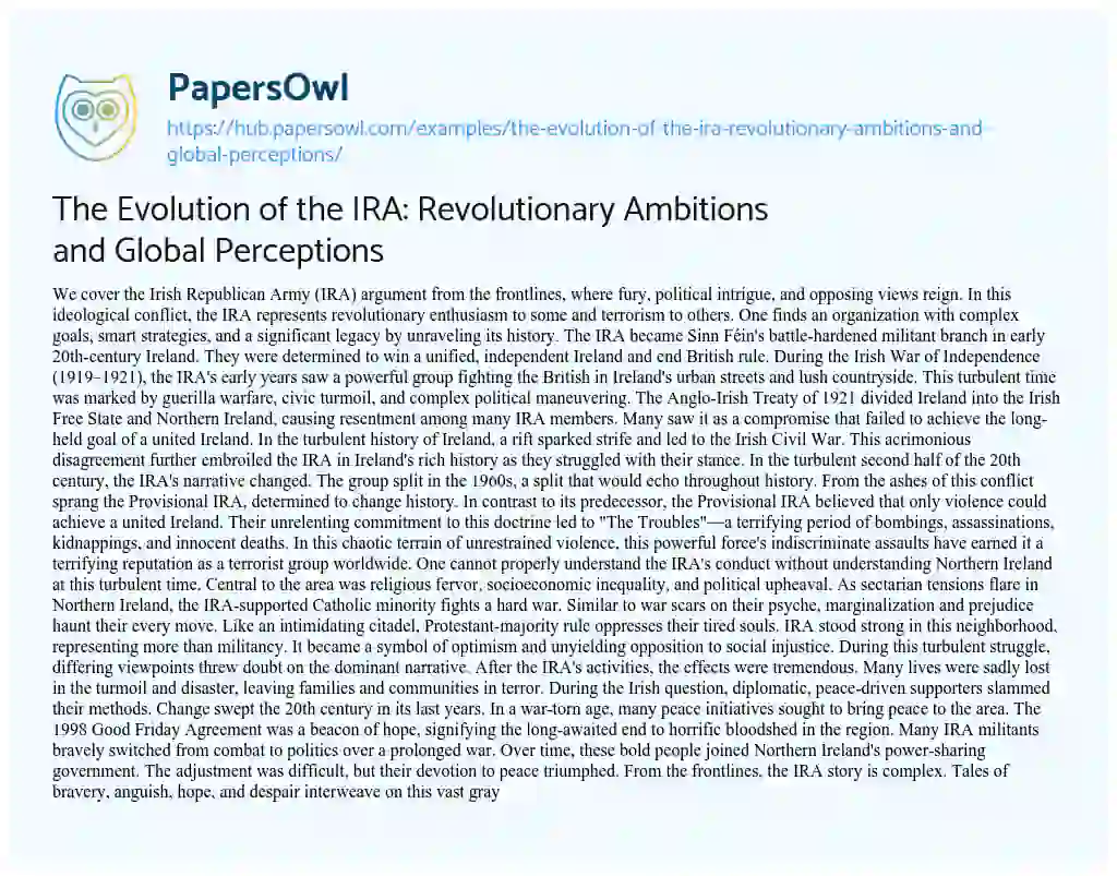 Essay on The Evolution of the IRA: Revolutionary Ambitions and Global Perceptions