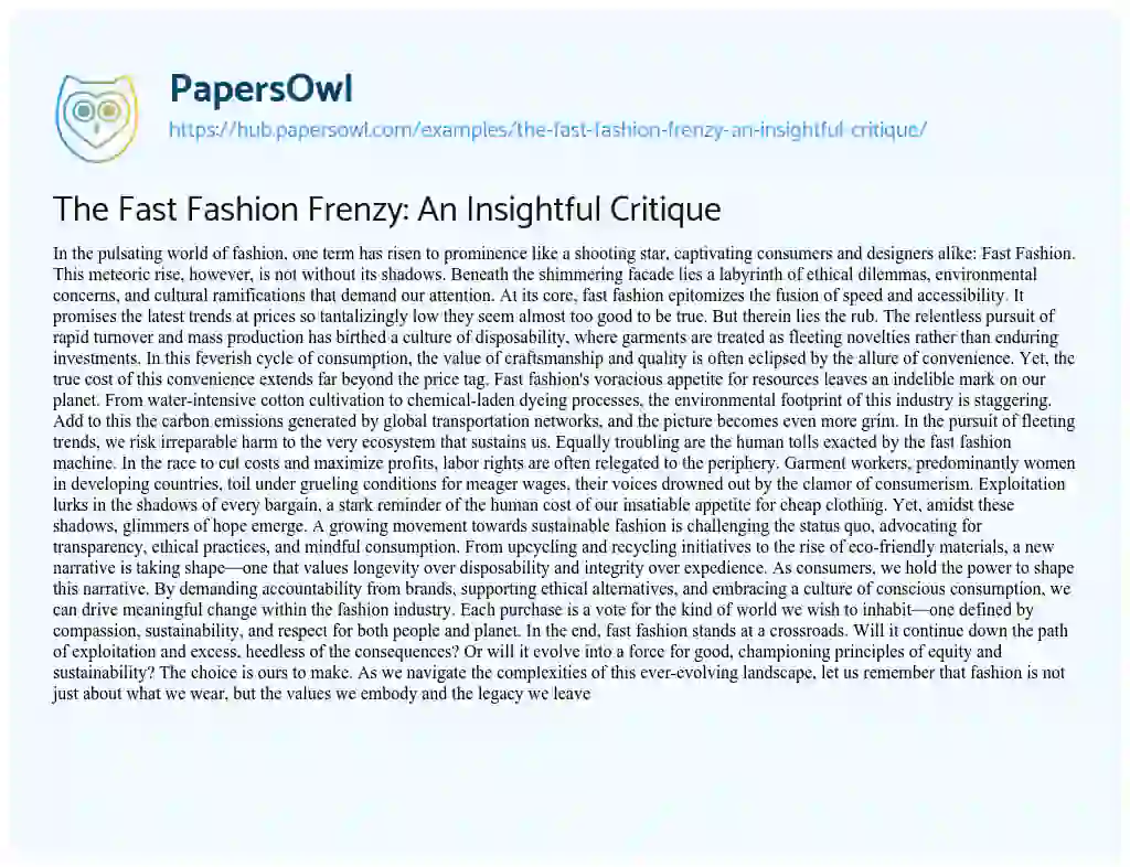 Essay on The Fast Fashion Frenzy: An Insightful Critique