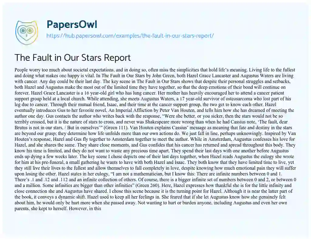 Essay on The Fault in Our Stars Report