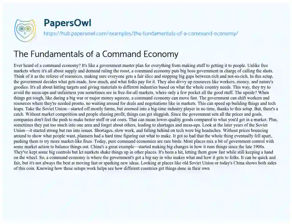 Essay on The Fundamentals of a Command Economy