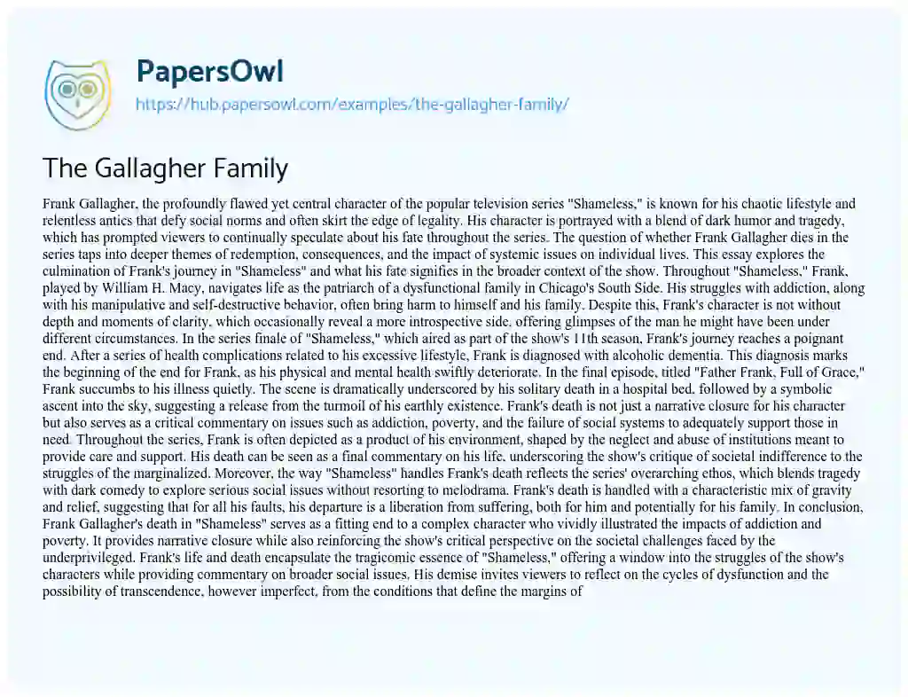 Essay on The Gallagher Family