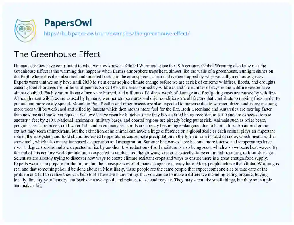 Essay on The Greenhouse Effect