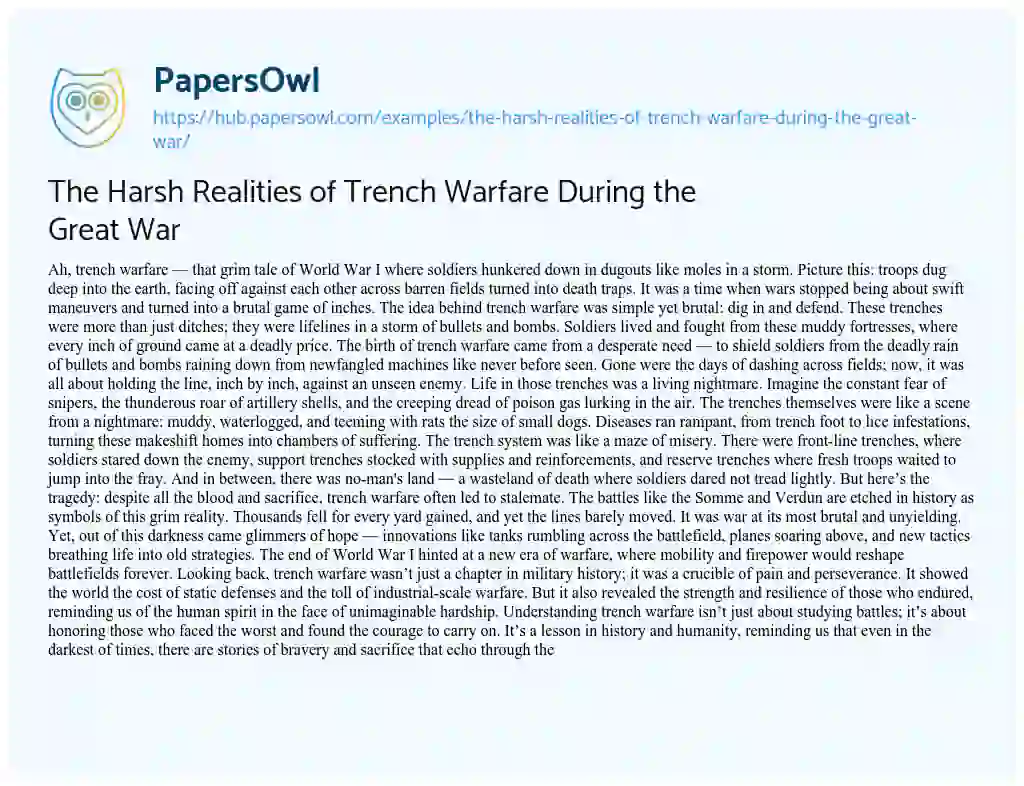 Essay on The Harsh Realities of Trench Warfare During the Great War