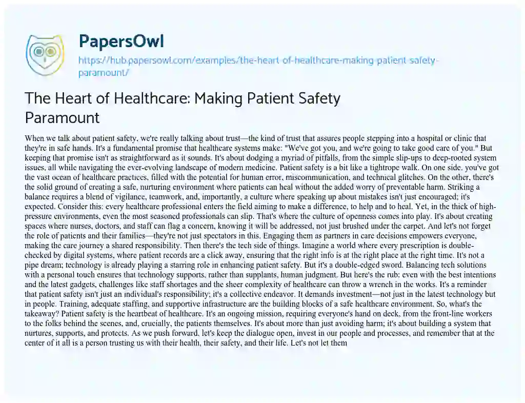 Essay on The Heart of Healthcare: Making Patient Safety Paramount