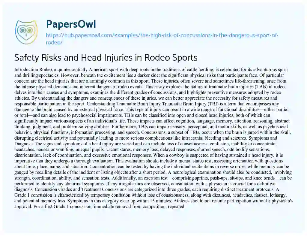 Essay on Safety Risks and Head Injuries in Rodeo Sports
