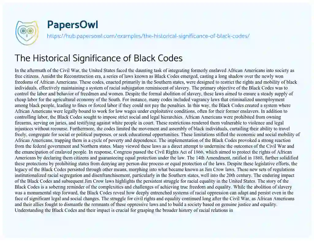 Essay on The Historical Significance of Black Codes