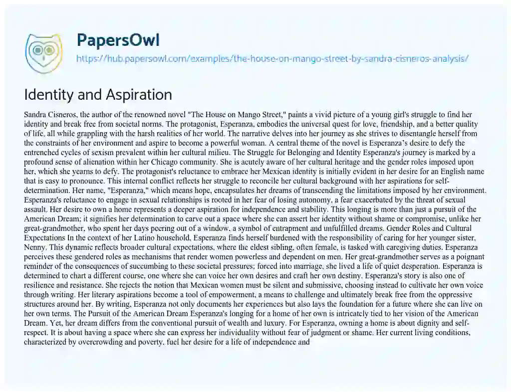 Essay on Identity and Aspiration