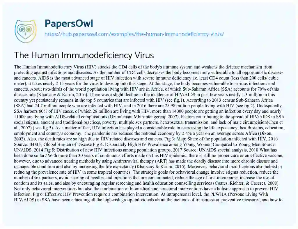 Essay on The Human Immunodeficiency Virus