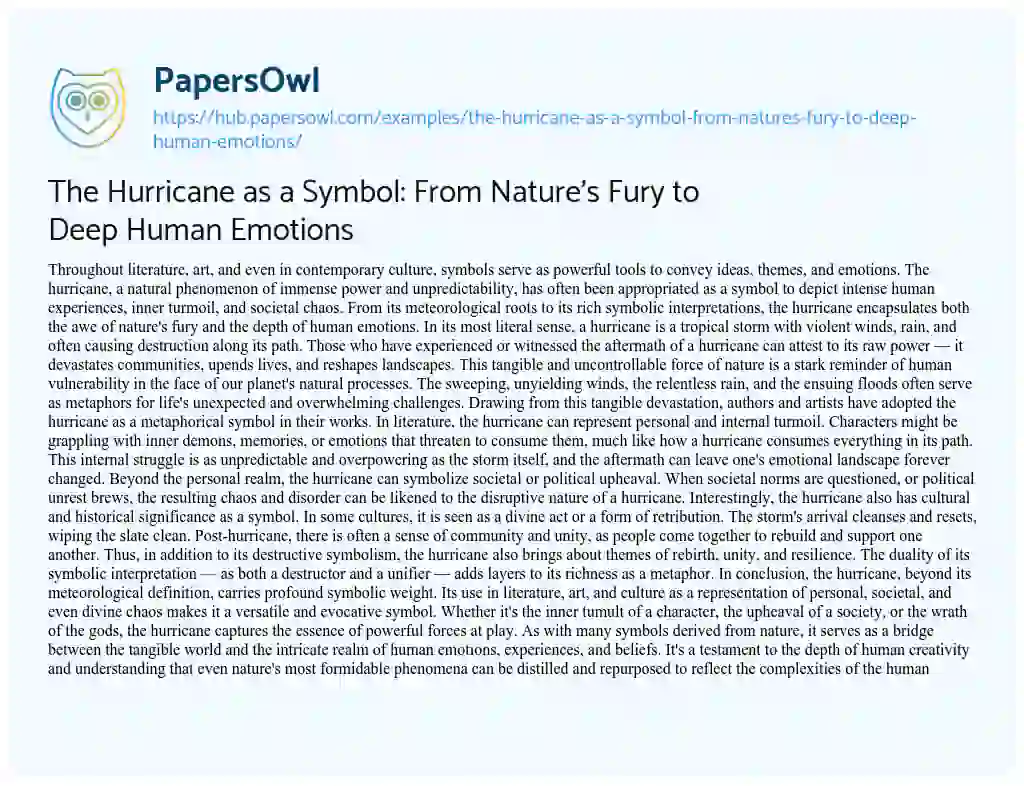 Essay on The Hurricane as a Symbol: From Nature’s Fury to Deep Human Emotions