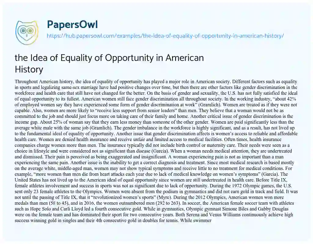 Essay on the Idea of Equality of Opportunity in American History