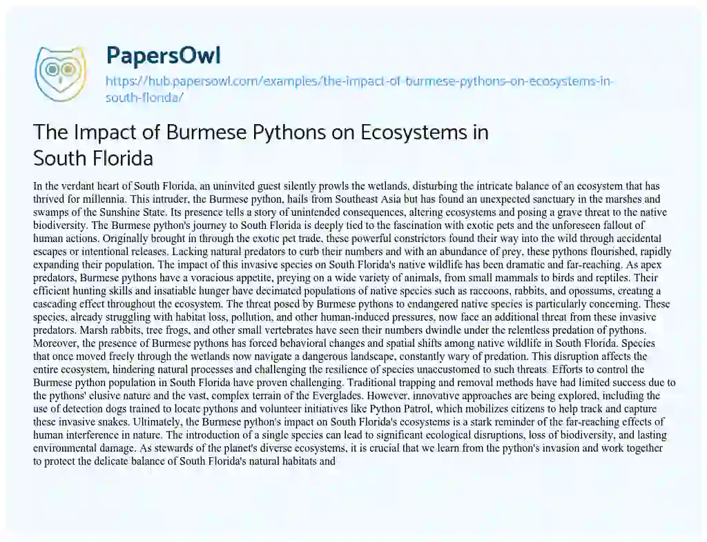 Essay on The Impact of Burmese Pythons on Ecosystems in South Florida