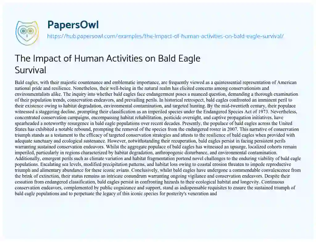 Essay on The Impact of Human Activities on Bald Eagle Survival