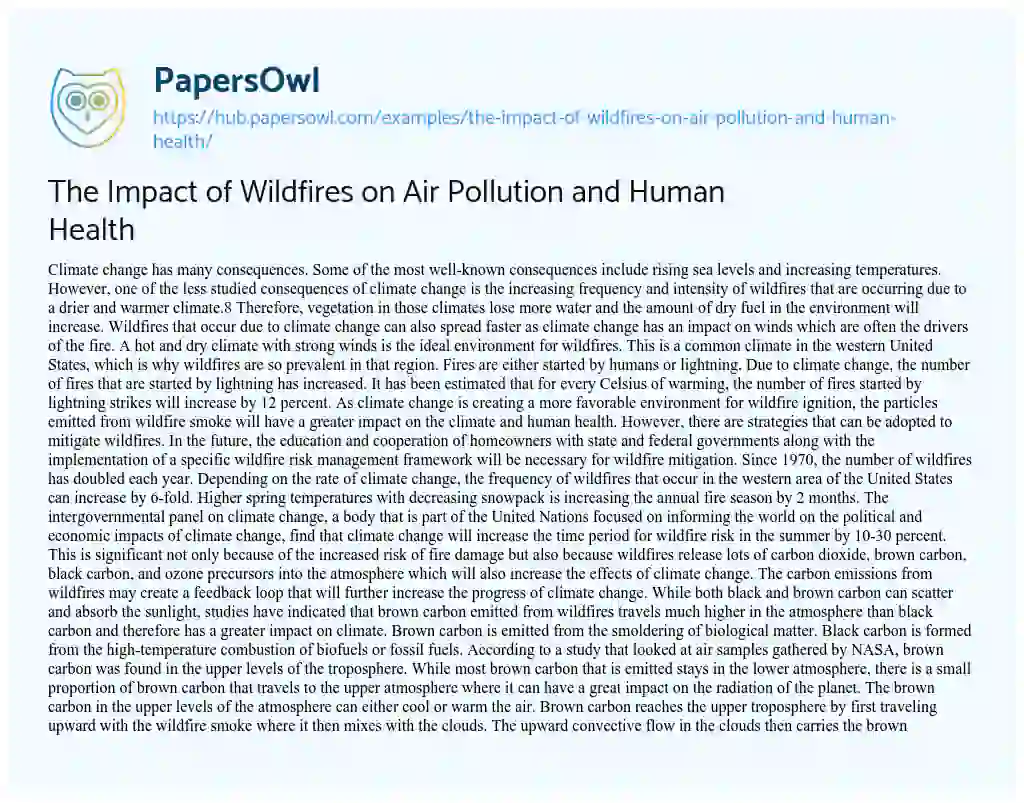 Essay on The Impact of Wildfires on Air Pollution and Human Health
