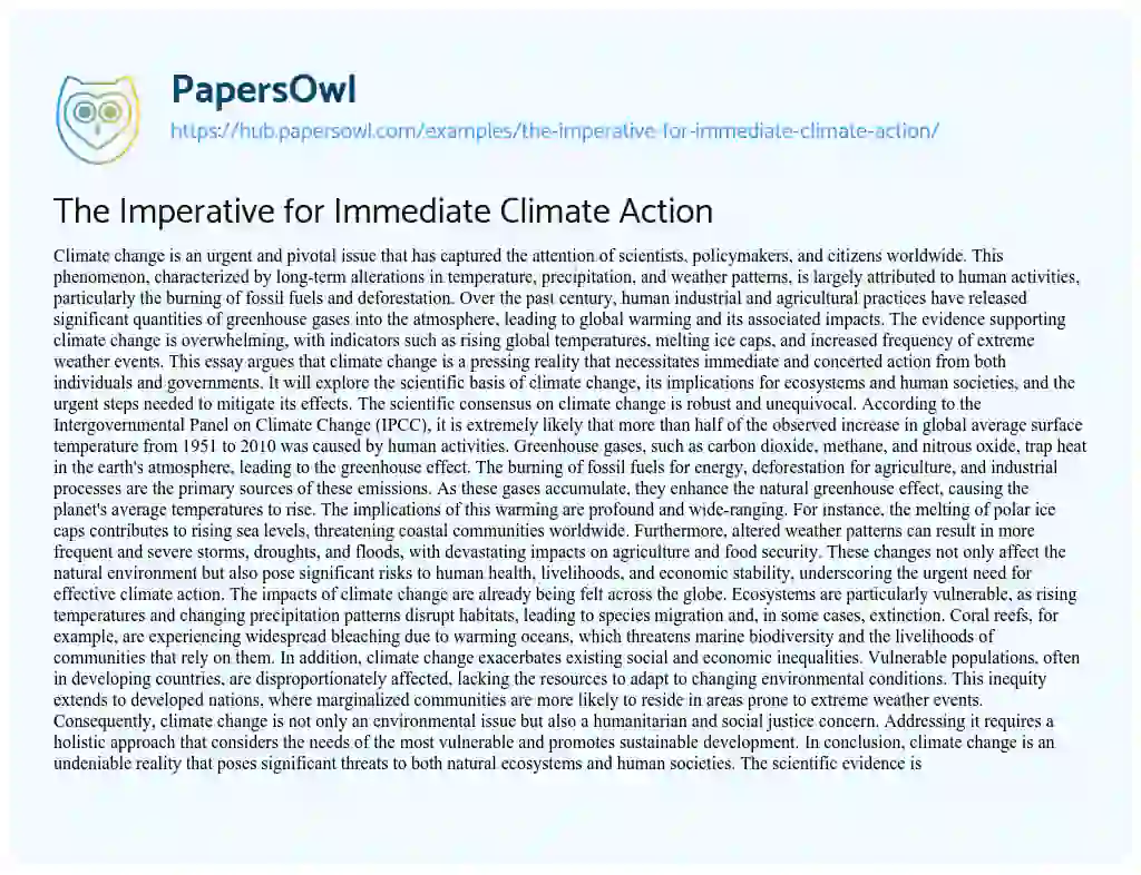 Essay on The Imperative for Immediate Climate Action