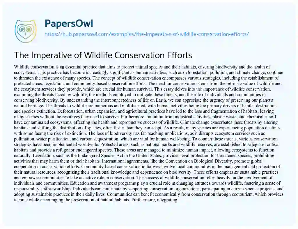 Essay on The Imperative of Wildlife Conservation Efforts