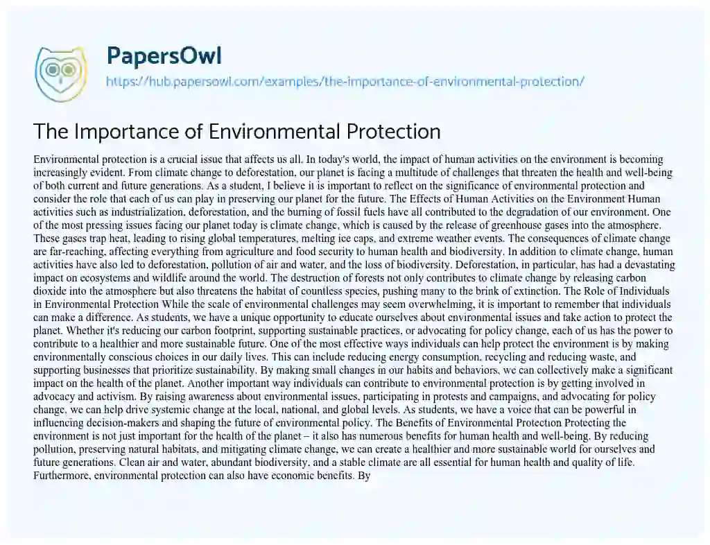 Essay on The Importance of Environmental Protection