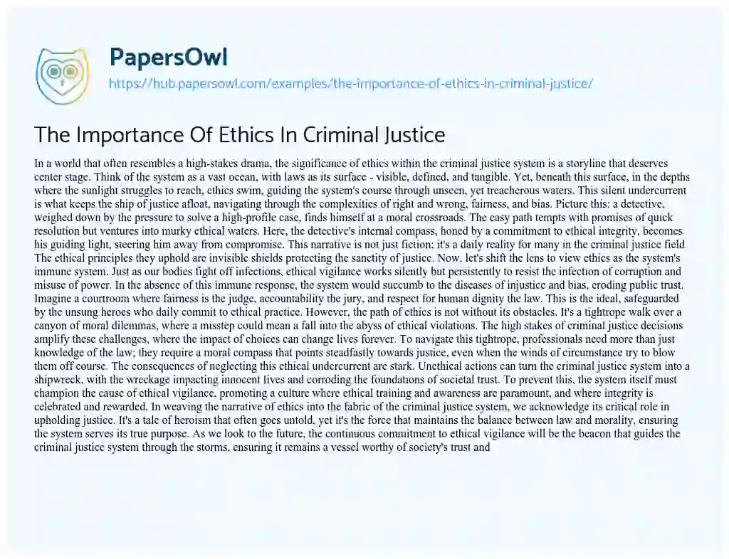 Essay on The Importance Of Ethics In Criminal Justice