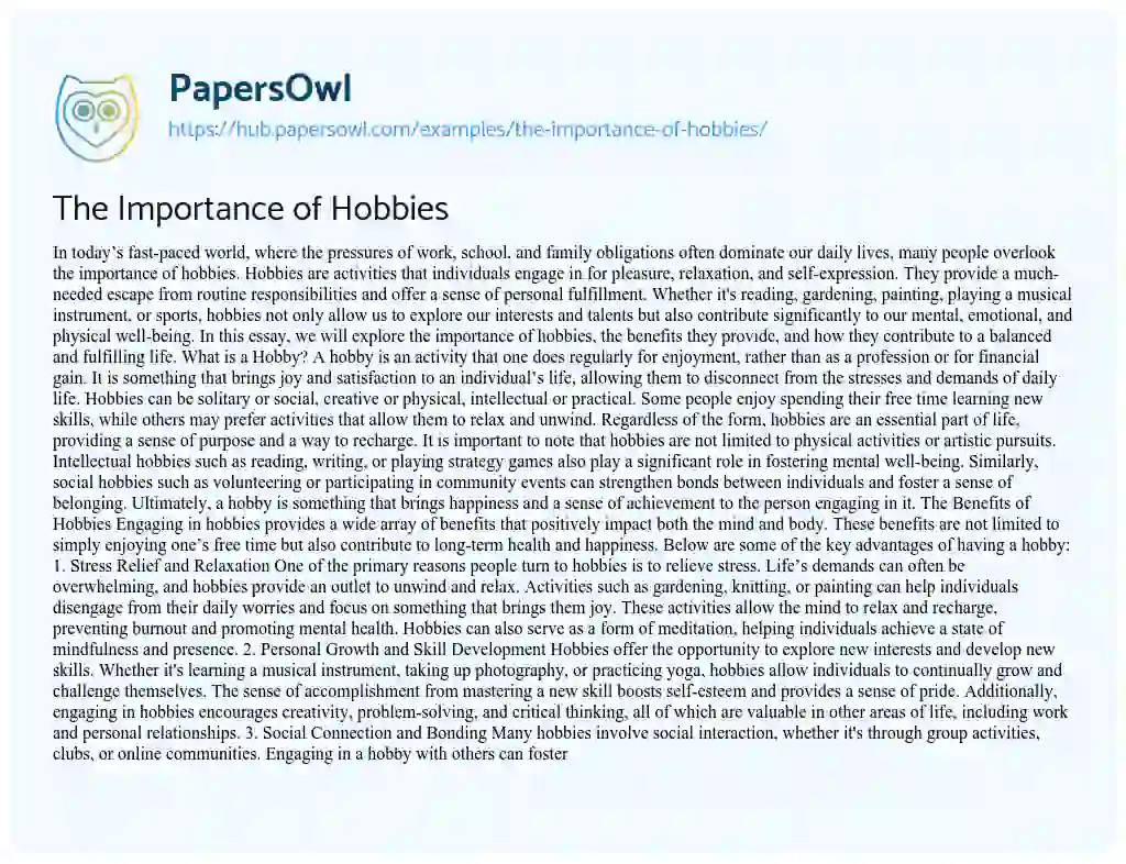 Essay on The Importance of Hobbies