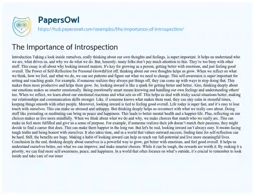 Essay on The Importance of Introspection