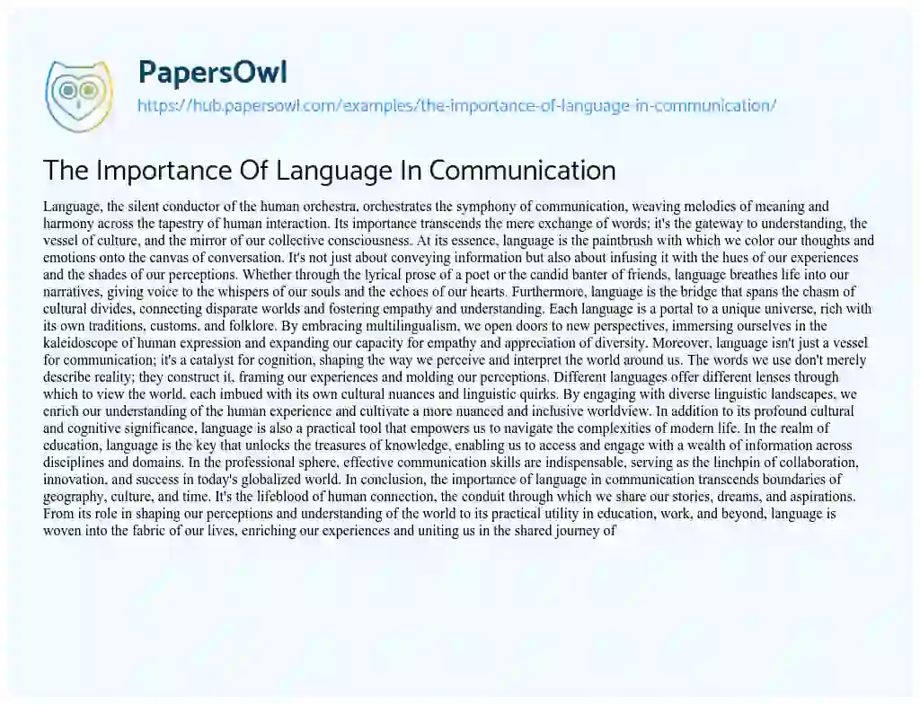 Essay on The Importance Of Language In Communication