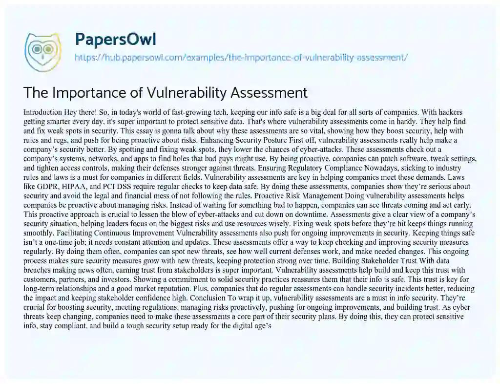 Essay on The Importance of Vulnerability Assessment