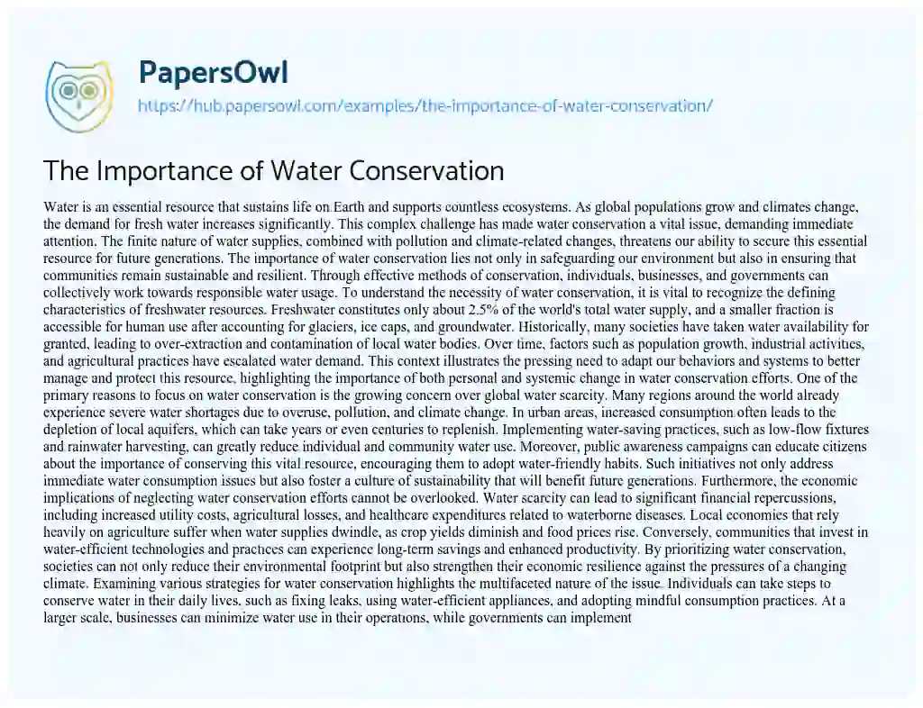 Essay on The Importance of Water Conservation