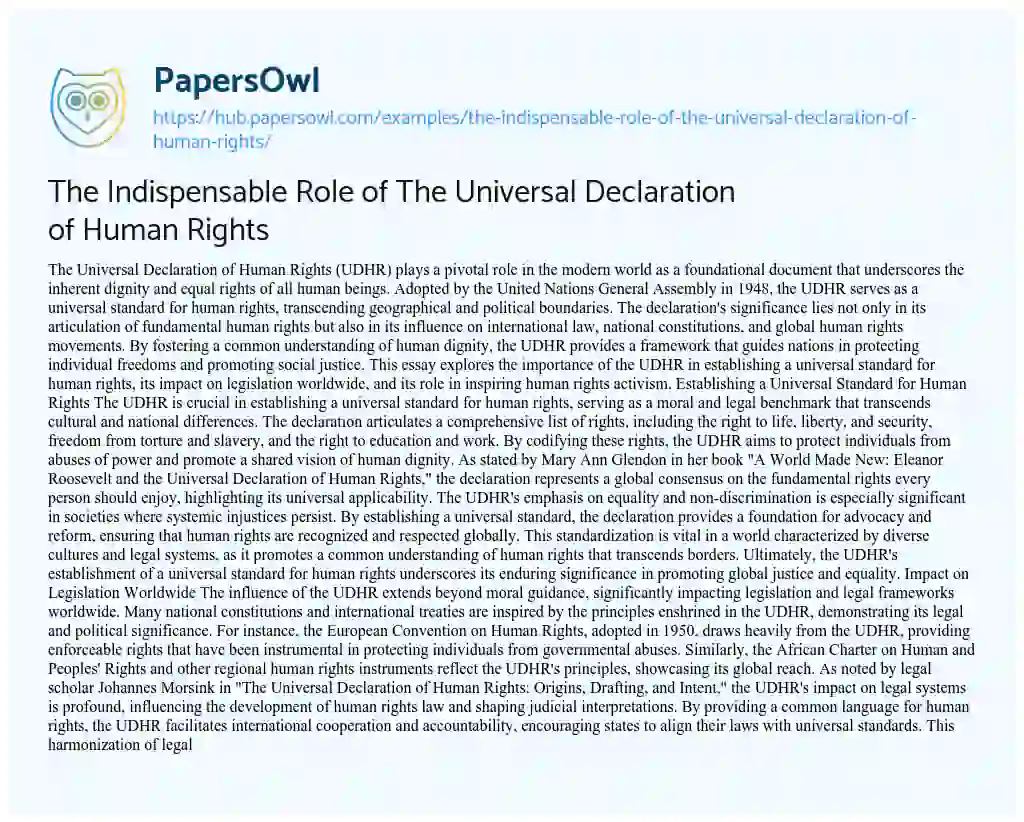 Essay on The Indispensable Role of The Universal Declaration of Human Rights