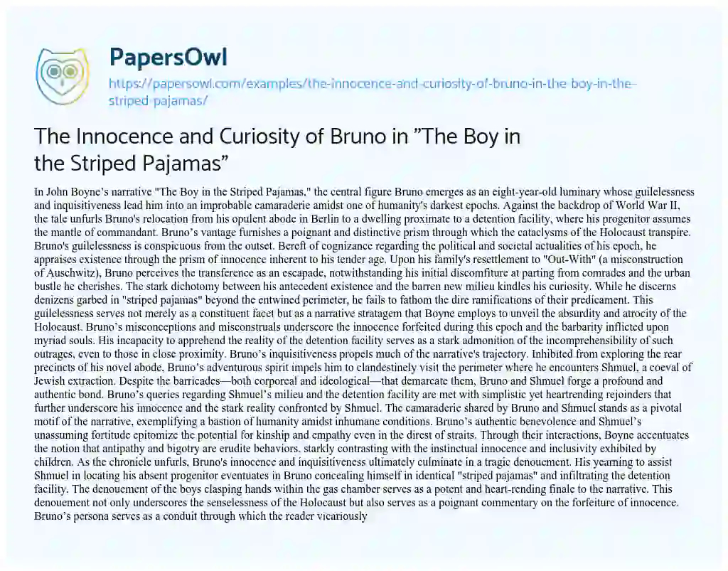 Essay on The Innocence and Curiosity of Bruno in “The Boy in the Striped Pajamas”