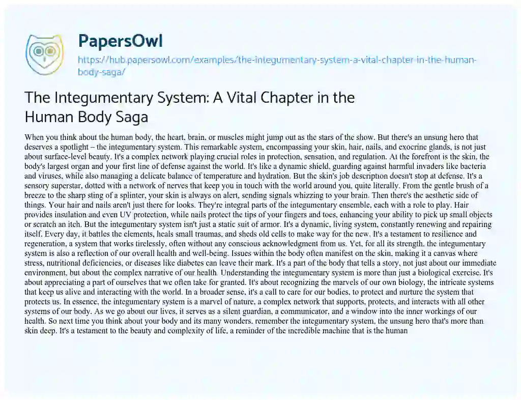 Essay on The Integumentary System: A Vital Chapter in the Human Body Saga
