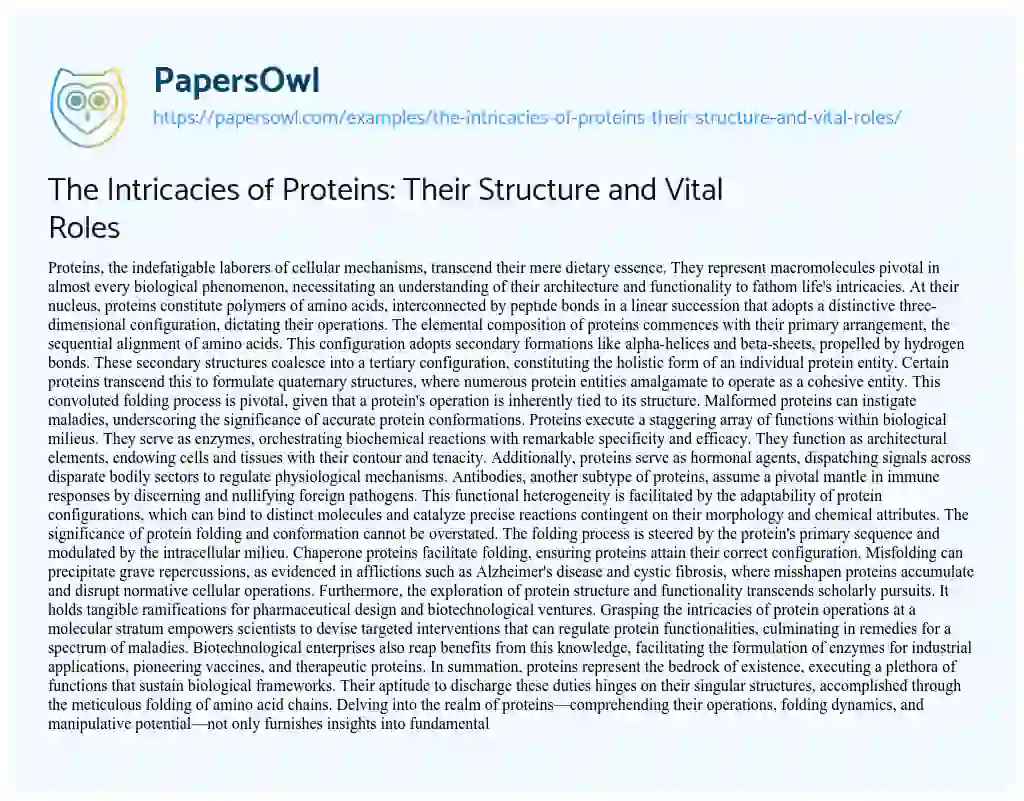 Essay on The Intricacies of Proteins: Their Structure and Vital Roles