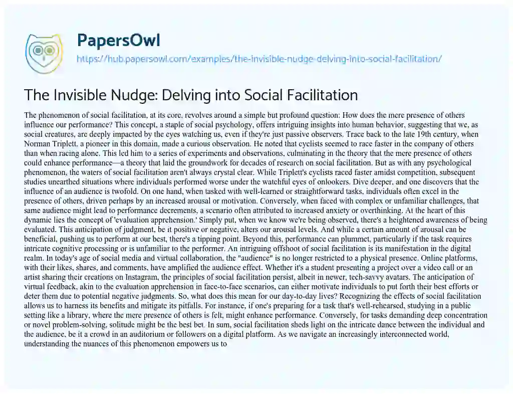 Essay on The Invisible Nudge: Delving into Social Facilitation