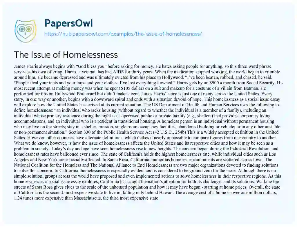 Essay on The Issue of Homelessness