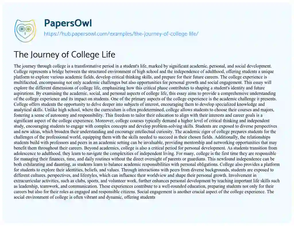 Essay on The Journey of College Life