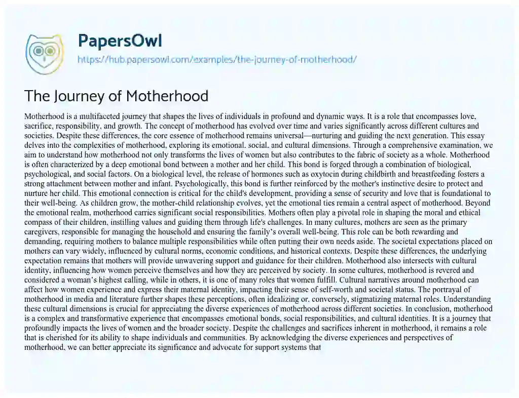 Essay on The Journey of Motherhood