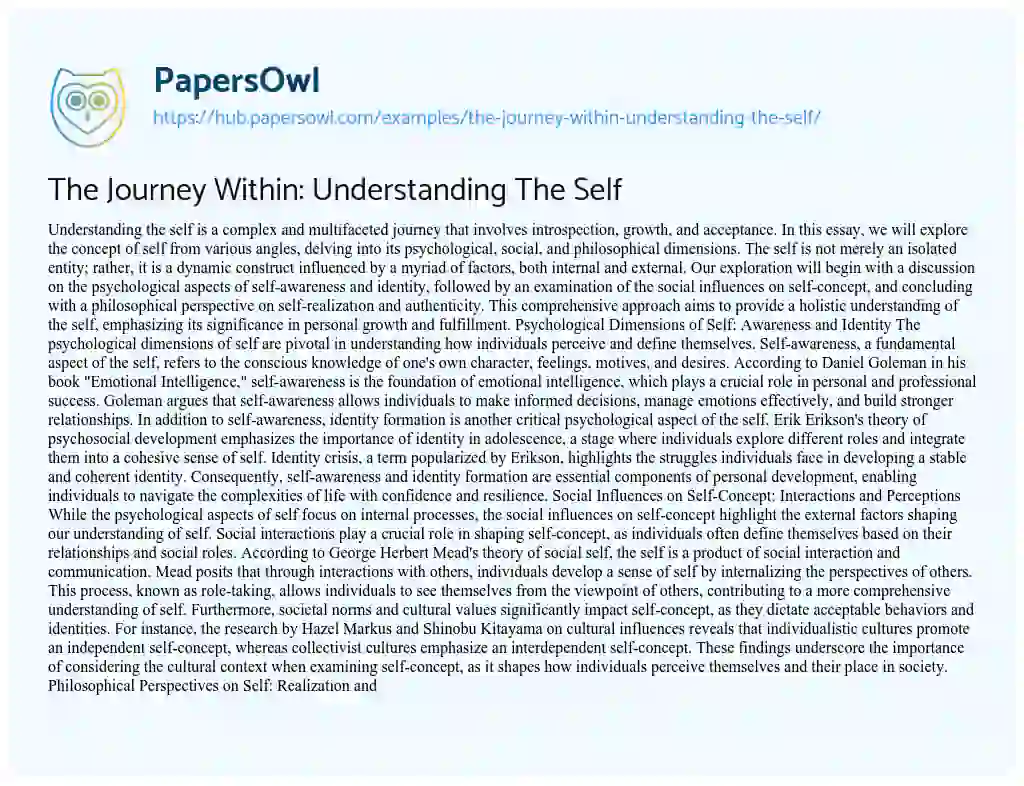 Essay on The Journey Within: Understanding The Self
