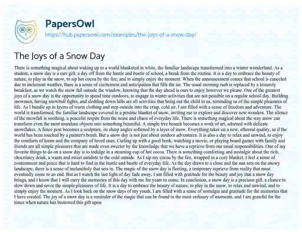 Essay on The Joys of a Snow Day