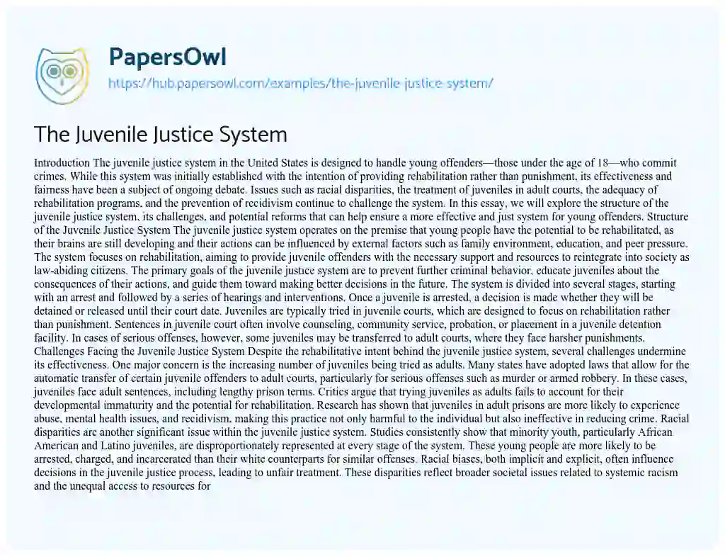 Essay on The Juvenile Justice System