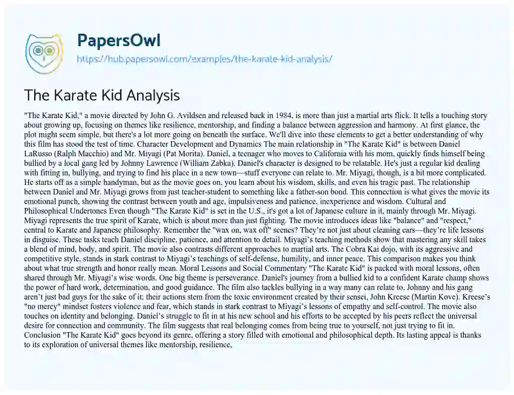 Essay on The Karate Kid Analysis