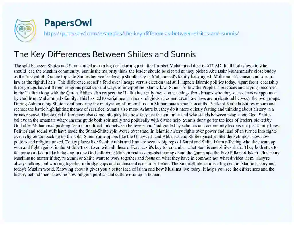 Essay on The Key Differences Between Shiites and Sunnis