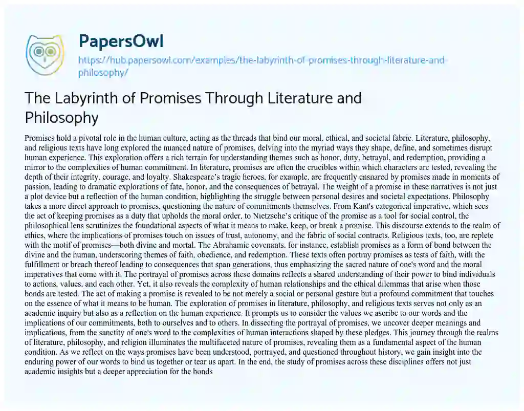 Essay on The Labyrinth of Promises Through Literature and Philosophy