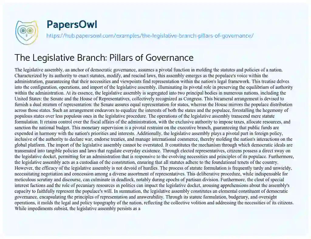 Essay on The Legislative Branch: Pillars of Governance